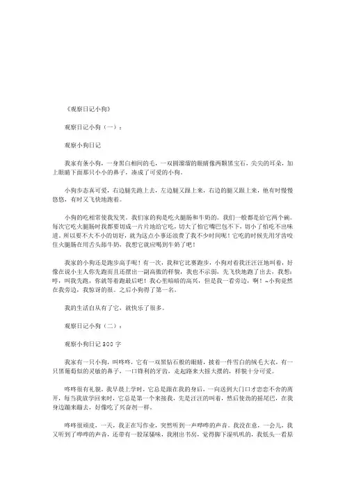 观察日记小狗12篇(优秀版)