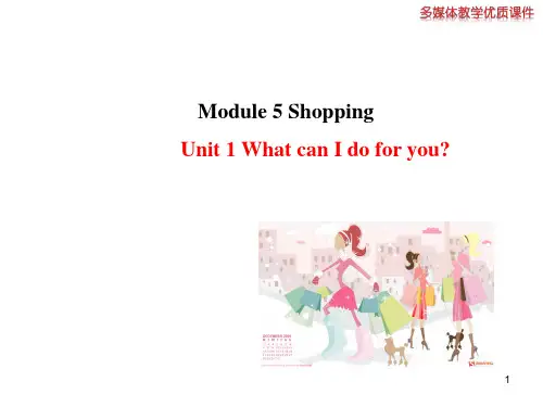 (2024年春)外研版七年级下Module5 Shopping教学课件(34张ppt)