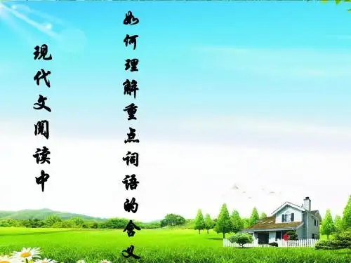 中考现代文阅读-词语的理解