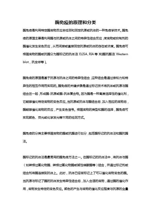酶免疫的原理和分类