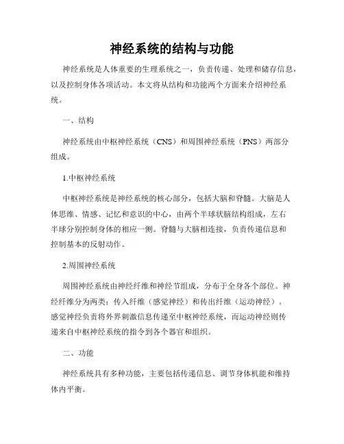 神经系统的结构与功能