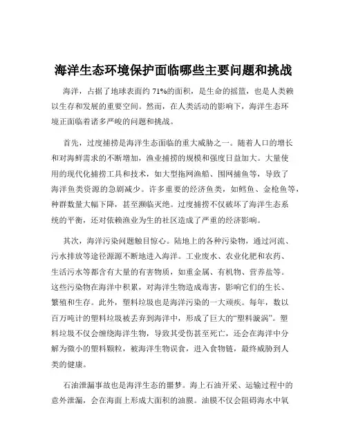 海洋生态环境保护面临哪些主要问题和挑战