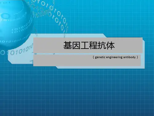《基因工程抗体》PPT课件