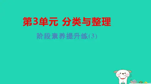 一年级数学下册第3单元分类与整理阶段素养提升练(3)习题pptx课件新人教版
