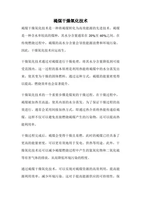 褐煤干燥氧化技术