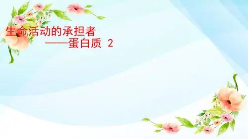 微课蛋白质氨基酸脱水缩合