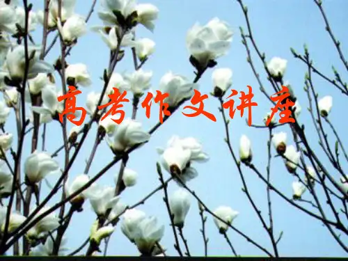 高考作文讲座ppt3