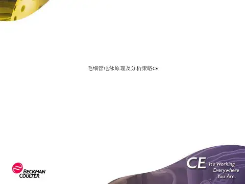 毛细管电泳原理及分析策略CE