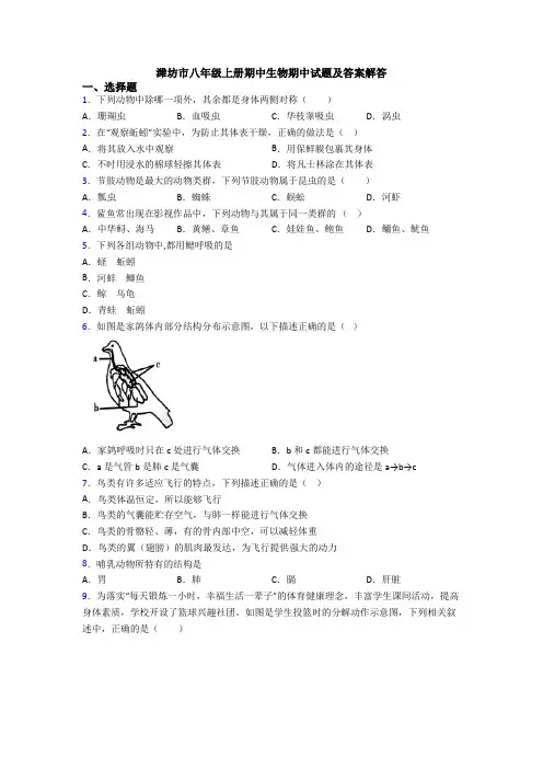 潍坊市八年级上册期中生物期中试题及答案解答