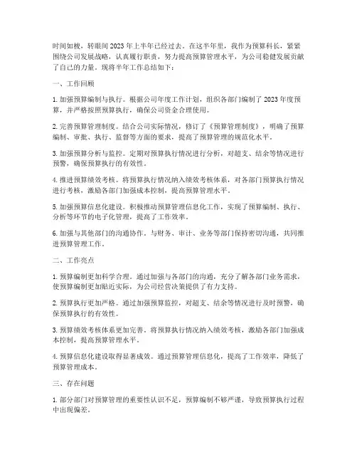 预算科长半年工作总结
