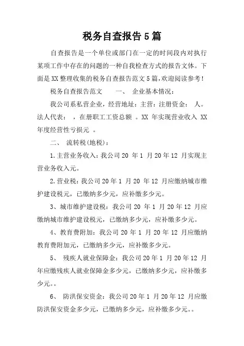 税务自查报告5篇