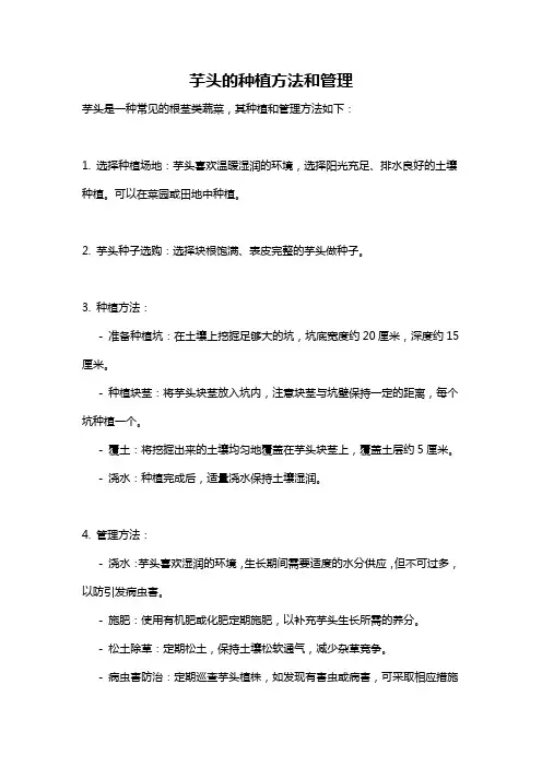 芋头的种植方法和管理