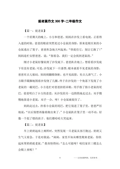 捉老鼠作文300字-二年级作文