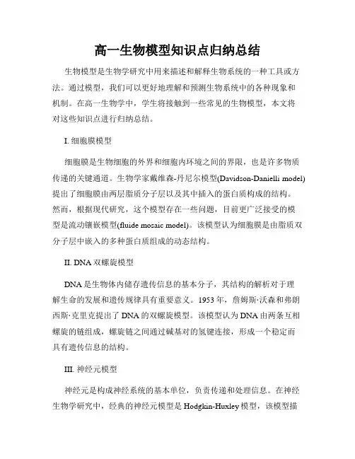 高一生物模型知识点归纳总结