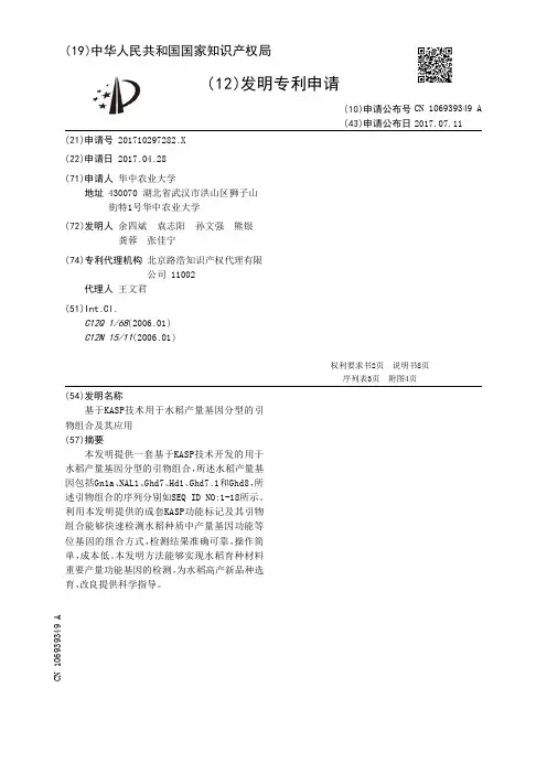 基于KASP技术用于水稻产量基因分型的引物组合及其应用[发明专利]
