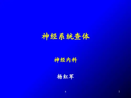 神经系统查体PPT课件