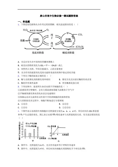 唐山市高中生物必修一测试题附答案