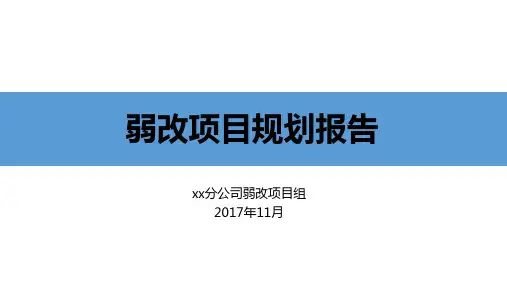 分公司弱改项目规划报告