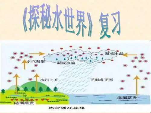 第二单元 探秘水世界