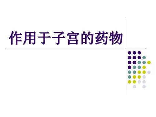 子宫 PPT课件