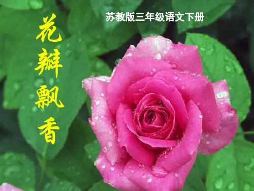 《花瓣飘香》第一课时课件ppt课件