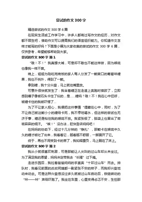尝试的作文300字