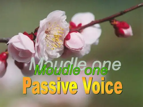 语态(Voice)是动词的一种形式,它表示句子的主语和谓语