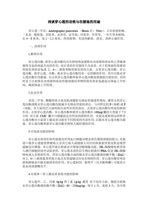 浅谈穿心莲的功效与在猪场的用途