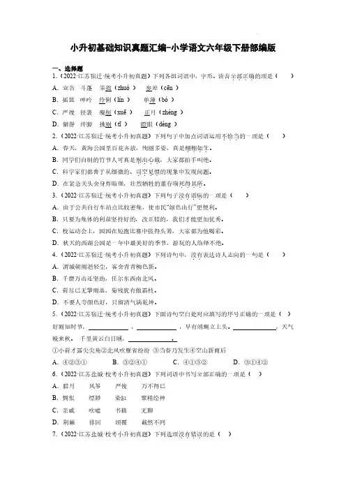 小升初基础知识真题汇编-2022-2023学年语文六年级下册(部编版)