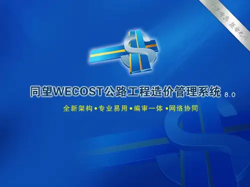同望WECOST8.0培训课件
