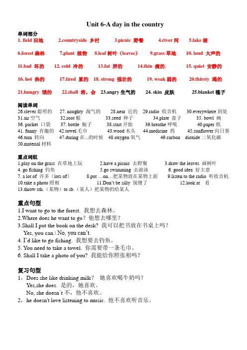 剑桥少儿英语KB3-Unit6知识点总结
