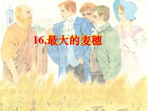 16最大的麦穗
