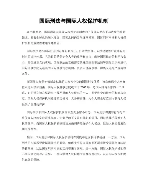 国际刑法与国际人权保护机制