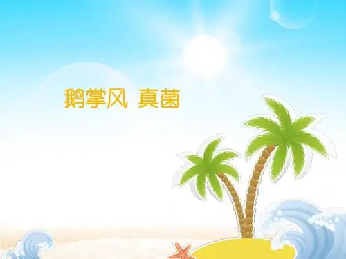 鹅掌风 真菌
