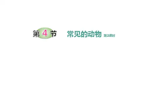 常见的动物(无脊椎动物二歧分类)——浙教版七年级上册科学