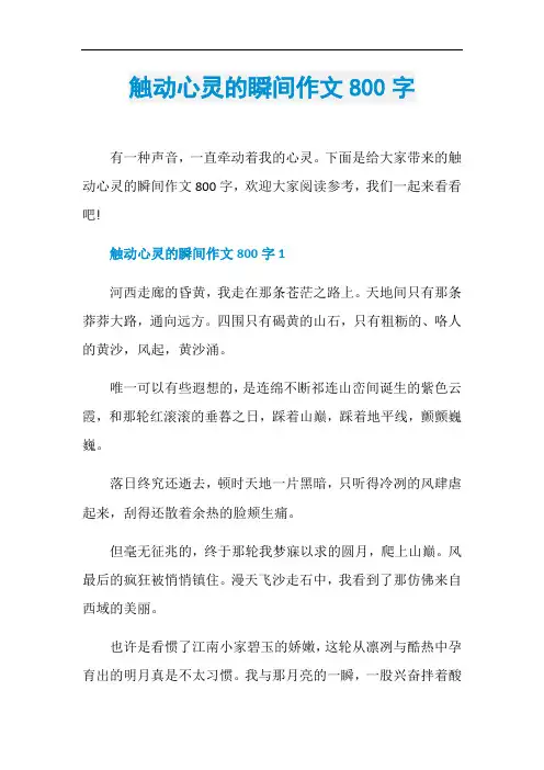 触动心灵的瞬间作文800字