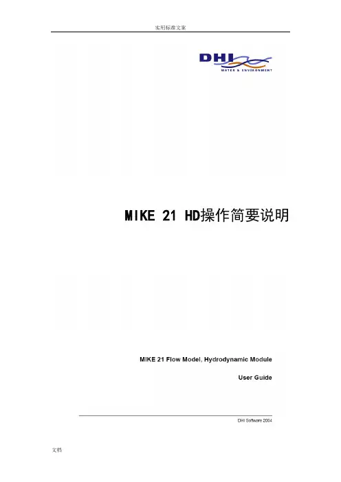 mike21 操作实例---矩形网格