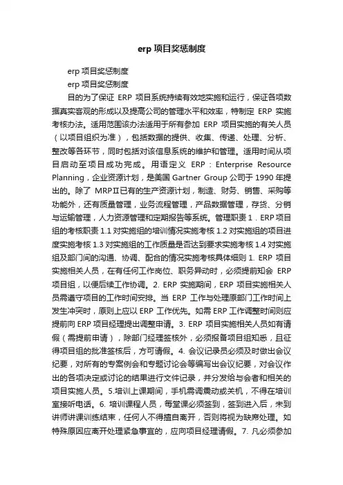 erp项目奖惩制度