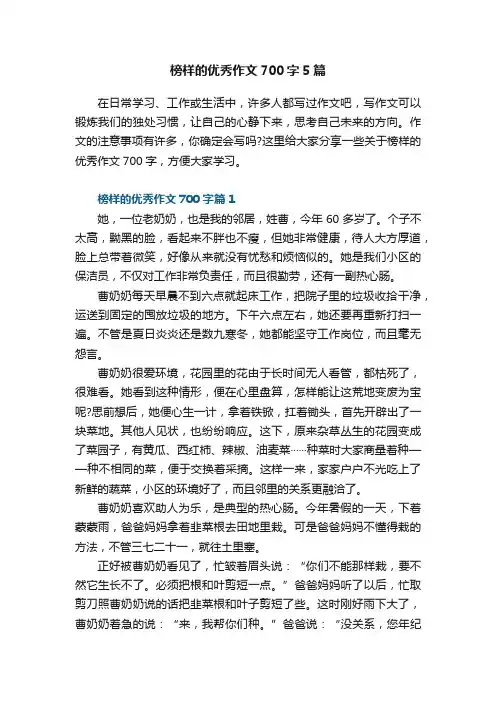 榜样的优秀作文700字5篇