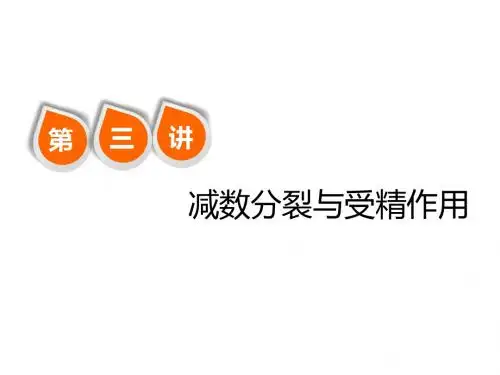 2019版高考生物一轮复习第四单元细胞的生命历程第三讲
