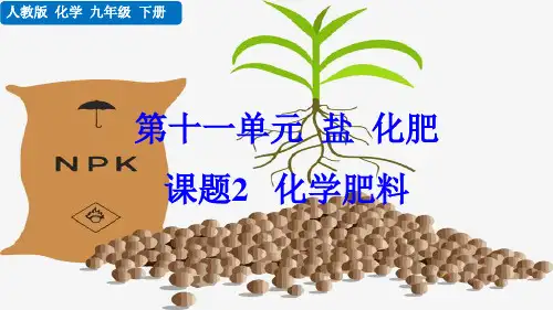新人教化学九年级下册课题2 化学肥料【精美课件】