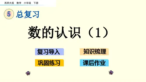 西师大六下数学课件-数的认识