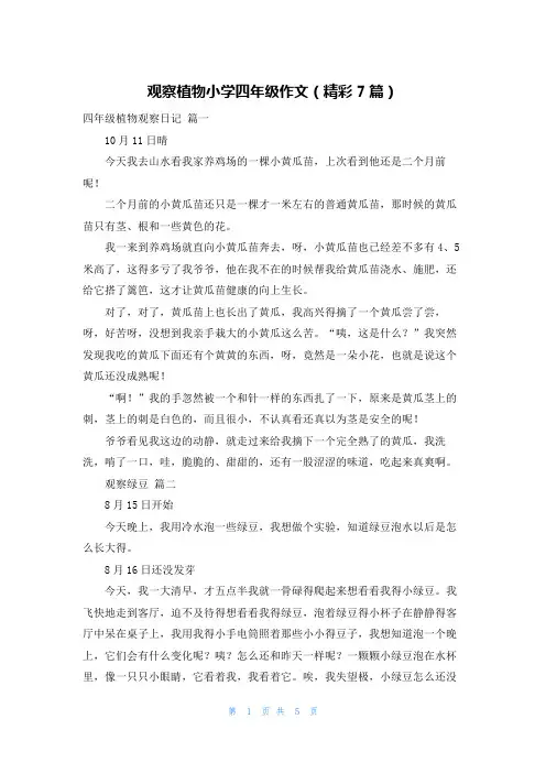 观察植物小学四年级作文(精彩7篇)