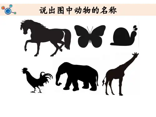 科学课件《我们的身体》精品PPT课件1