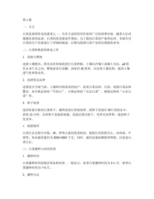 白菜生产实践报告(2篇)