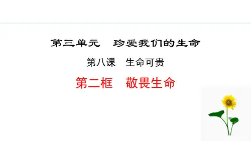 《敬畏生命》生命可贵PPT课件