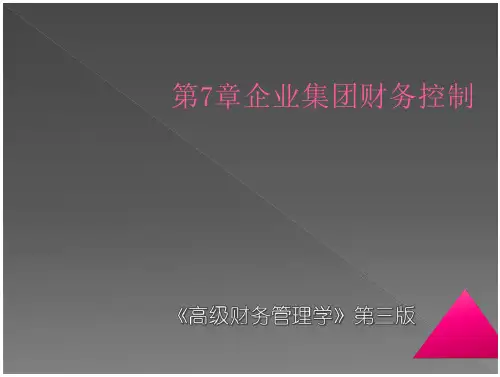 《高级财务管理学》第七章新 