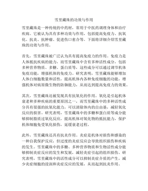 雪里藏珠的功效与作用