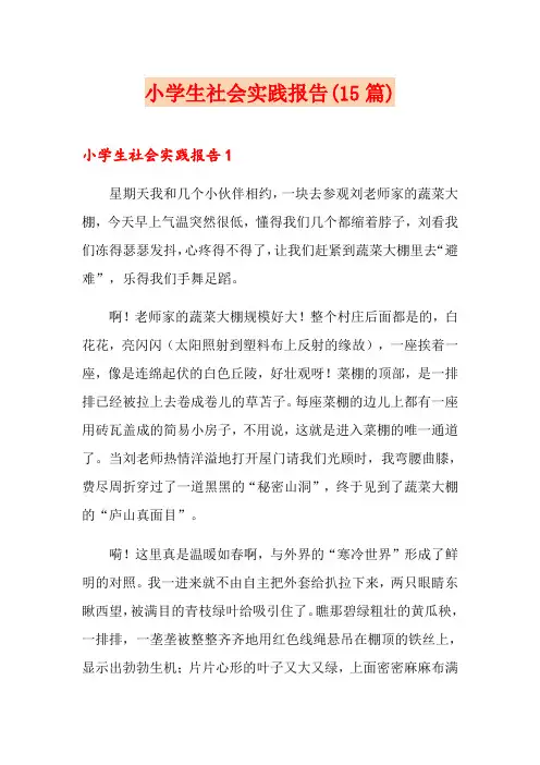 小学生社会实践报告(15篇)