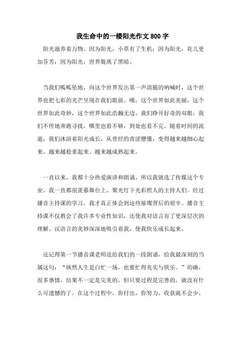 我生命中的一缕阳光作文800字
